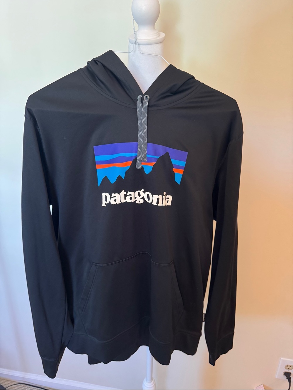 Patagonia Black Pullover Hoodie with Multicolor Mountain Logo